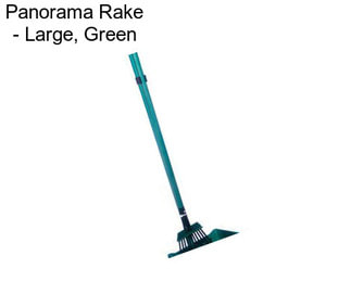 Panorama Rake - Large, Green