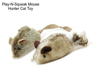 Play-N-Squeak Mouse Hunter Cat Toy