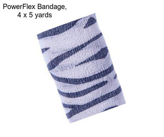 PowerFlex Bandage, 4\