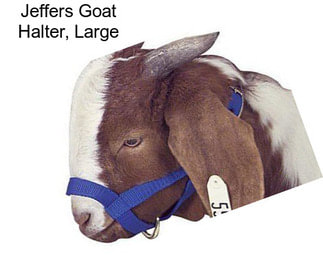 Jeffers Goat Halter, Large