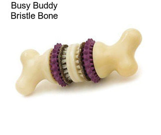 Busy Buddy Bristle Bone