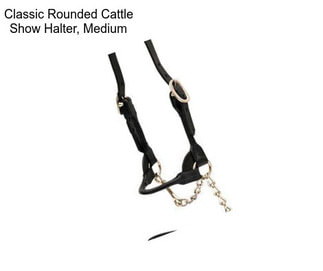 Classic Rounded Cattle Show Halter, Medium