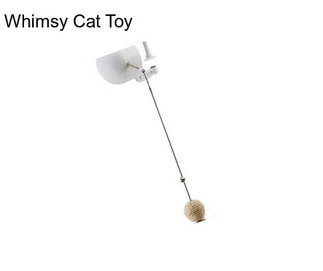 Whimsy Cat Toy