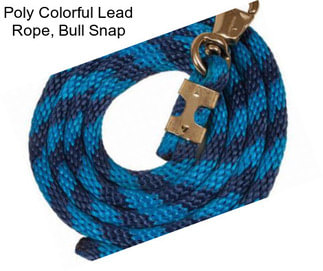 Poly Colorful Lead Rope, Bull Snap
