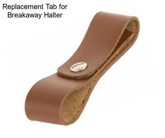 Replacement Tab for Breakaway Halter