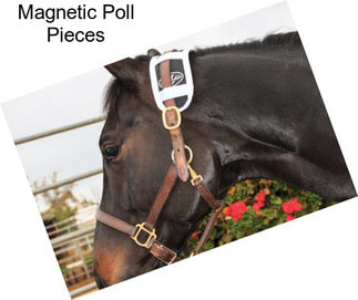 Magnetic Poll Pieces