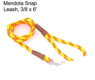 Mendota Snap Leash, 3/8\