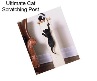 Ultimate Cat Scratching Post