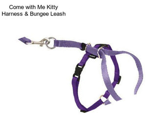 Come with Me Kitty Harness & Bungee Leash