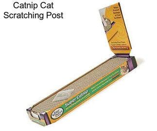 Catnip Cat Scratching Post