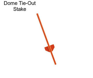 Dome Tie-Out Stake