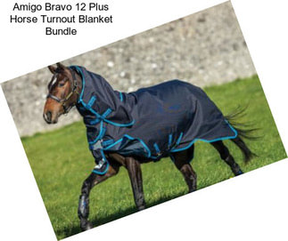 Amigo Bravo 12 Plus Horse Turnout Blanket Bundle