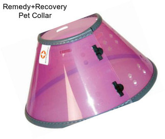 Remedy+Recovery Pet Collar