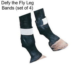 Defy the Fly Leg Bands (set of 4)