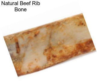 Natural Beef Rib Bone