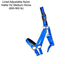 Lined Adjustable Nylon Halter for Medium Horse (600-900 lb)