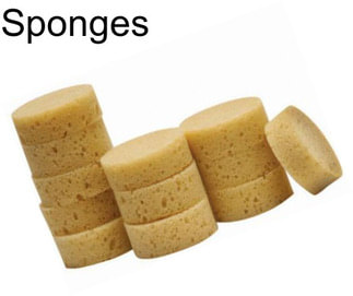 Sponges