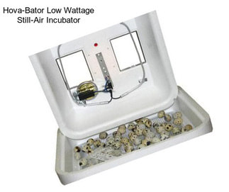 Hova-Bator Low Wattage Still-Air Incubator