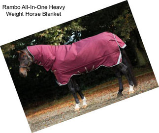 Rambo All-In-One Heavy Weight Horse Blanket