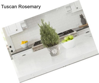 Tuscan Rosemary