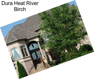 Dura Heat River Birch