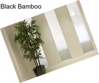 Black Bamboo