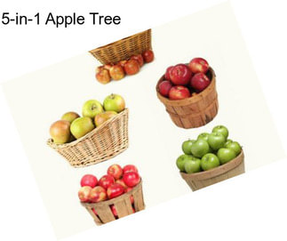 5-in-1 Apple Tree