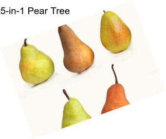 5-in-1 Pear Tree