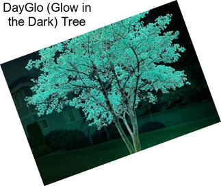 DayGlo (Glow in the Dark) Tree