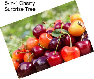 5-in-1 Cherry Surprise Tree