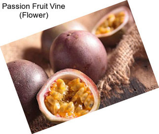 Passion Fruit Vine (Flower)