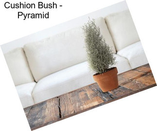 Cushion Bush - Pyramid