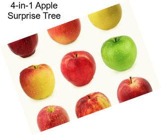 4-in-1 Apple Surprise Tree