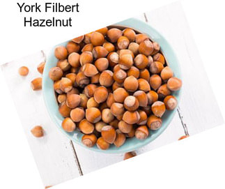 York Filbert Hazelnut