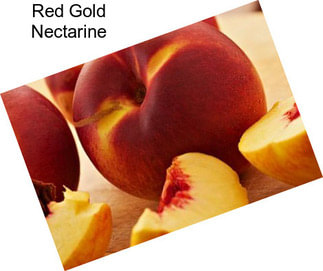 Red Gold Nectarine