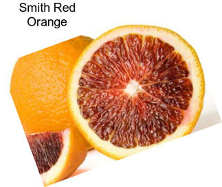 Smith Red Orange