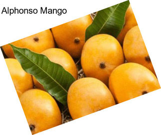 Alphonso Mango