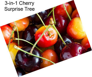 3-in-1 Cherry Surprise Tree