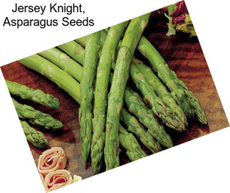 Jersey Knight, Asparagus Seeds