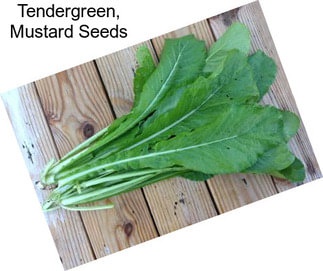 Tendergreen, Mustard Seeds