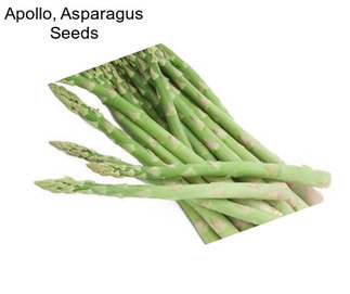 Apollo, Asparagus Seeds