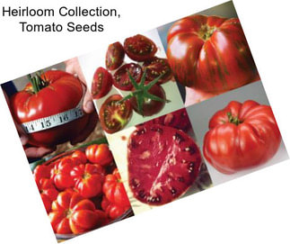 Heirloom Collection, Tomato Seeds