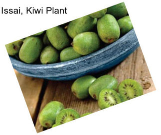 Issai, Kiwi Plant