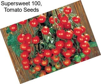 Supersweet 100, Tomato Seeds