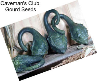 Caveman\'s Club, Gourd Seeds