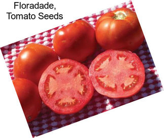 Floradade, Tomato Seeds