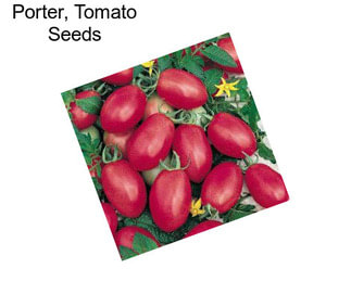 Porter, Tomato Seeds