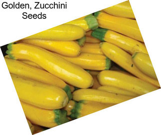 Golden, Zucchini Seeds