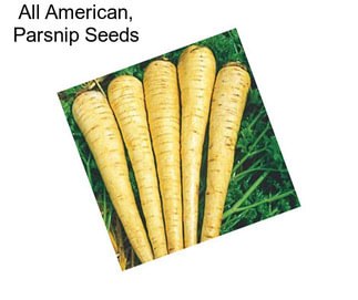 All American, Parsnip Seeds