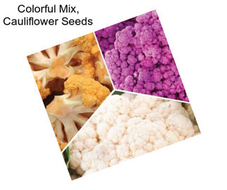 Colorful Mix, Cauliflower Seeds